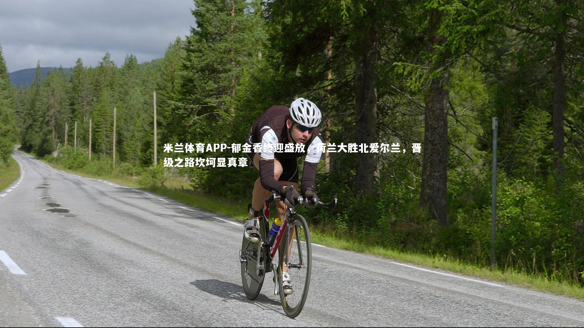 郁金香终迎盛放，荷兰大胜北爱尔兰，晋级之路坎坷显真章