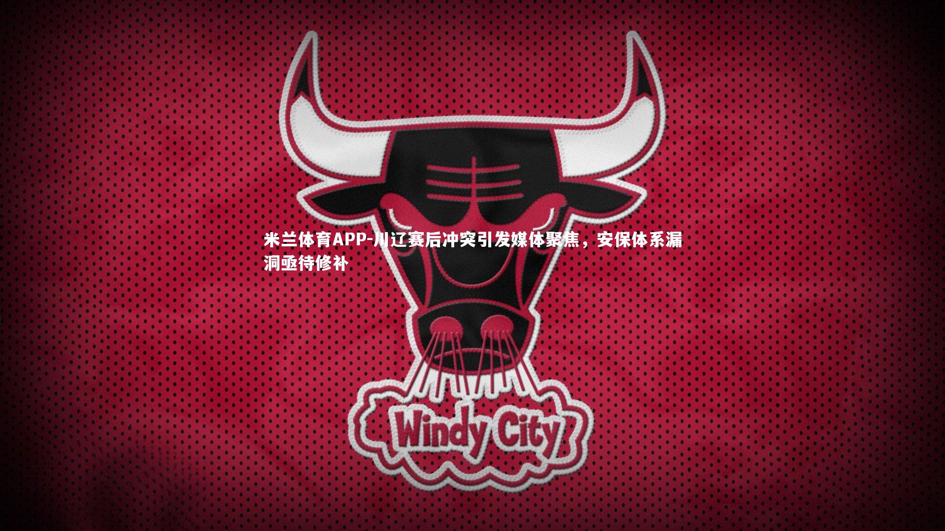 川辽赛后冲突引发媒体聚焦，安保体系漏洞亟待修补